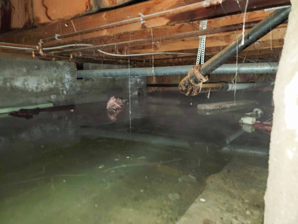 Best 24-hour water damage restoration  in Okolona, MS