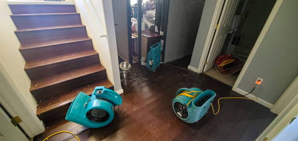 Best Carpet water damage restoration  in Okolona, MS