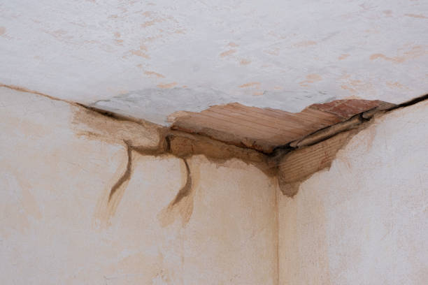 Best 24-hour water damage restoration  in Okolona, MS