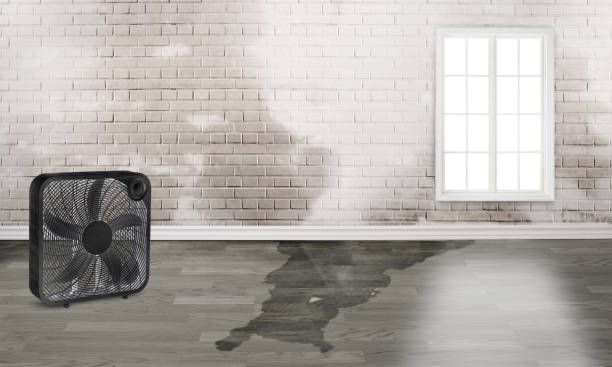 24/7 water damage repair in MS
