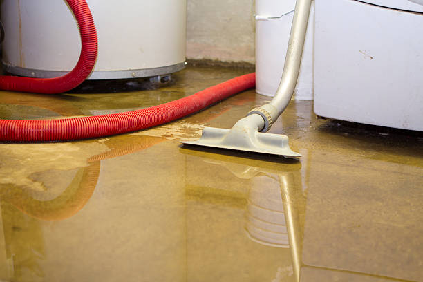 Best Ceiling water damage repair  in Okolona, MS