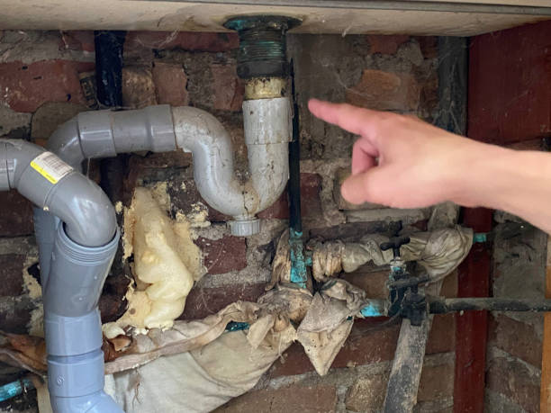 Best Mold removal after water damage  in Okolona, MS