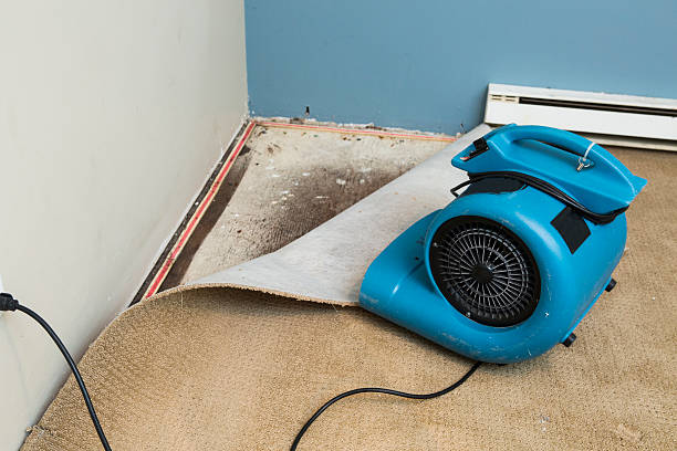 Best Water damage repair service  in Okolona, MS